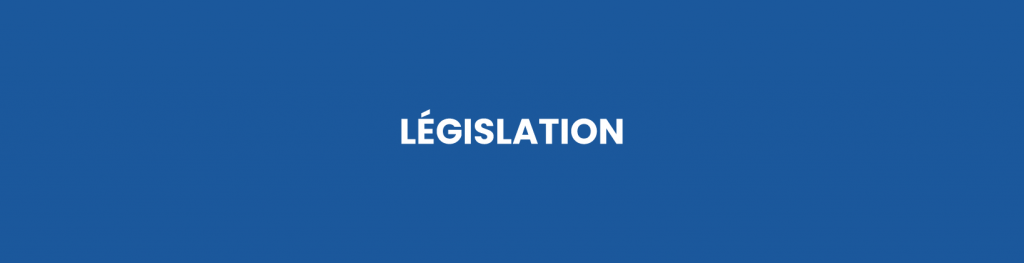 motorisation de portail en fonction de la legislation